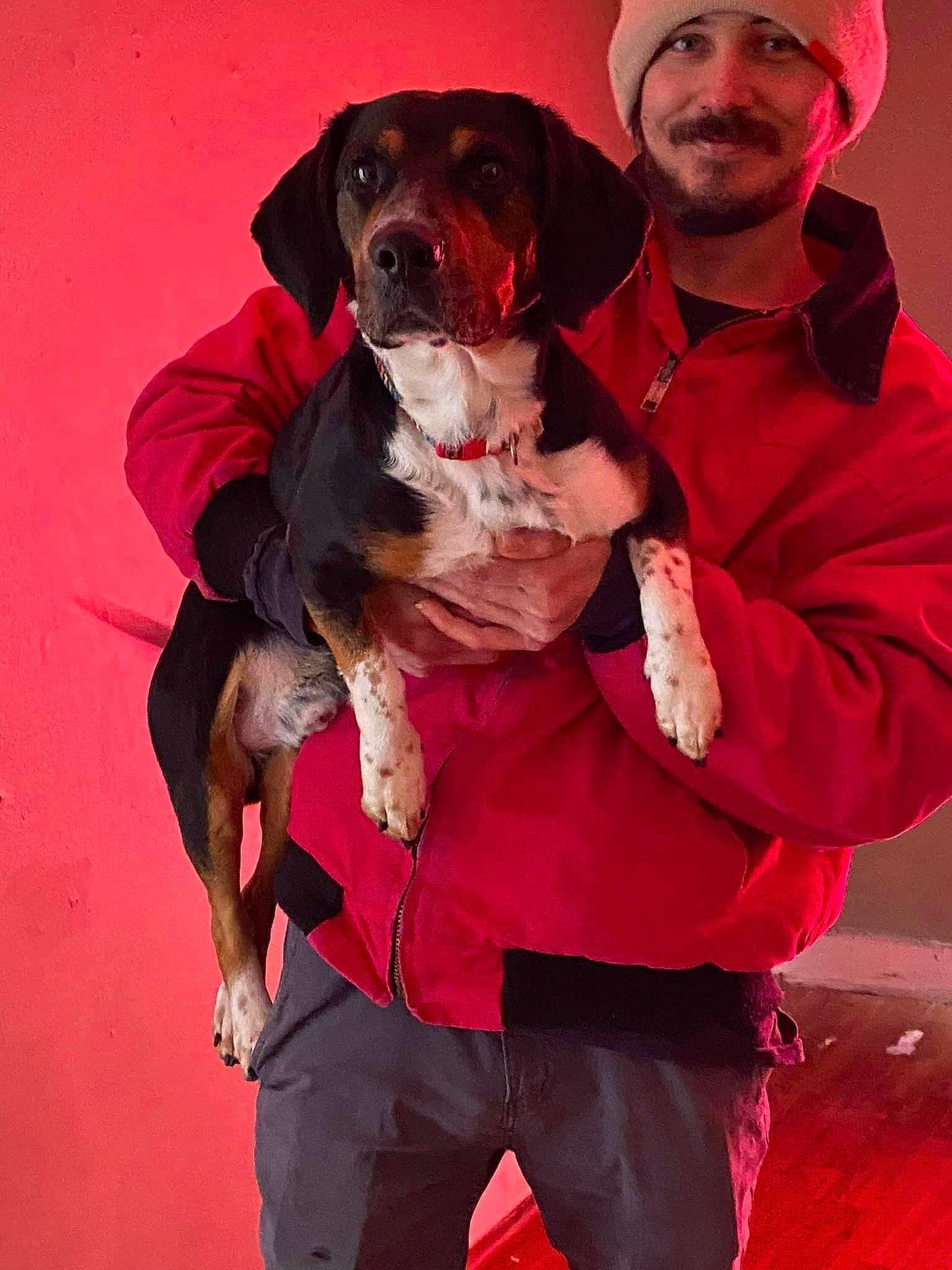 Kiedis is registered to the contest to win money with this photo: baseball_cap, beard, belt, cap, carnivore, collar, companion_dog, dog, dog_breed, dog_collar, event, fur, gesture, magenta, pink, purple, red, sleeve, sporting_group, vertebrate