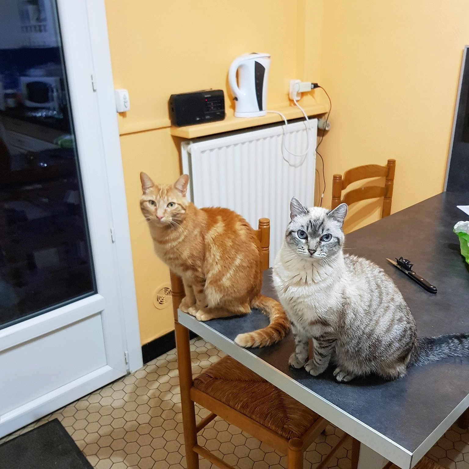 Macha Et Murphy