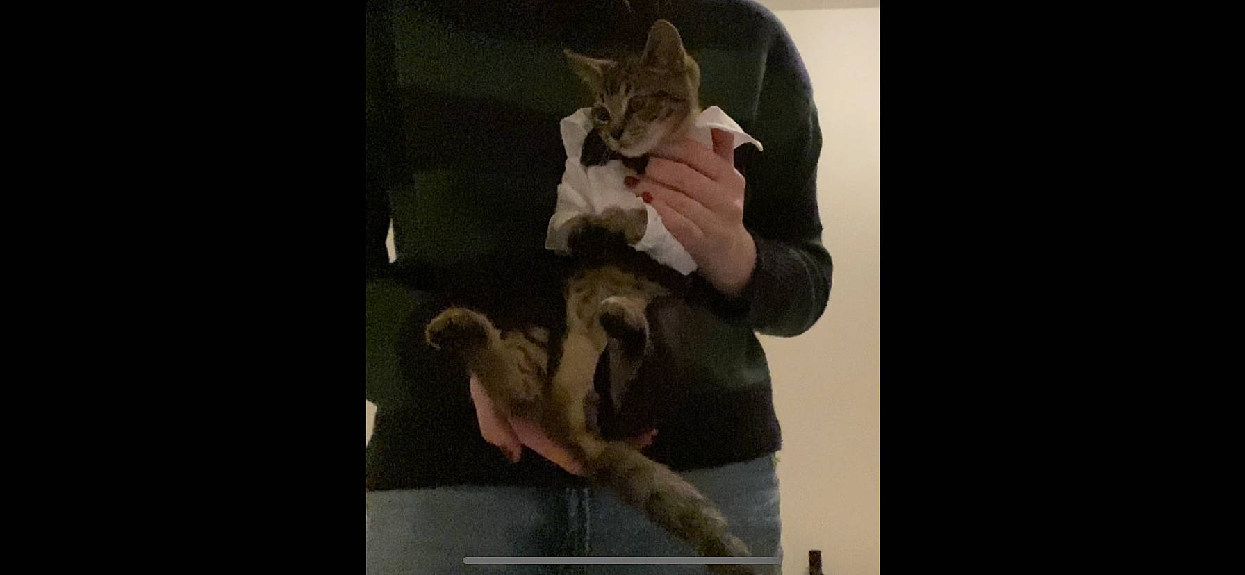 Juno is registered to the contest to win money with this photo: art, cat, darkness, felidae, flesh, fun, fur, fur_clothing, gesture, jaw, knee, room, sitting, sleeve, small_to_medium_sized_cats, tourist_attraction, visual_arts, whiskers