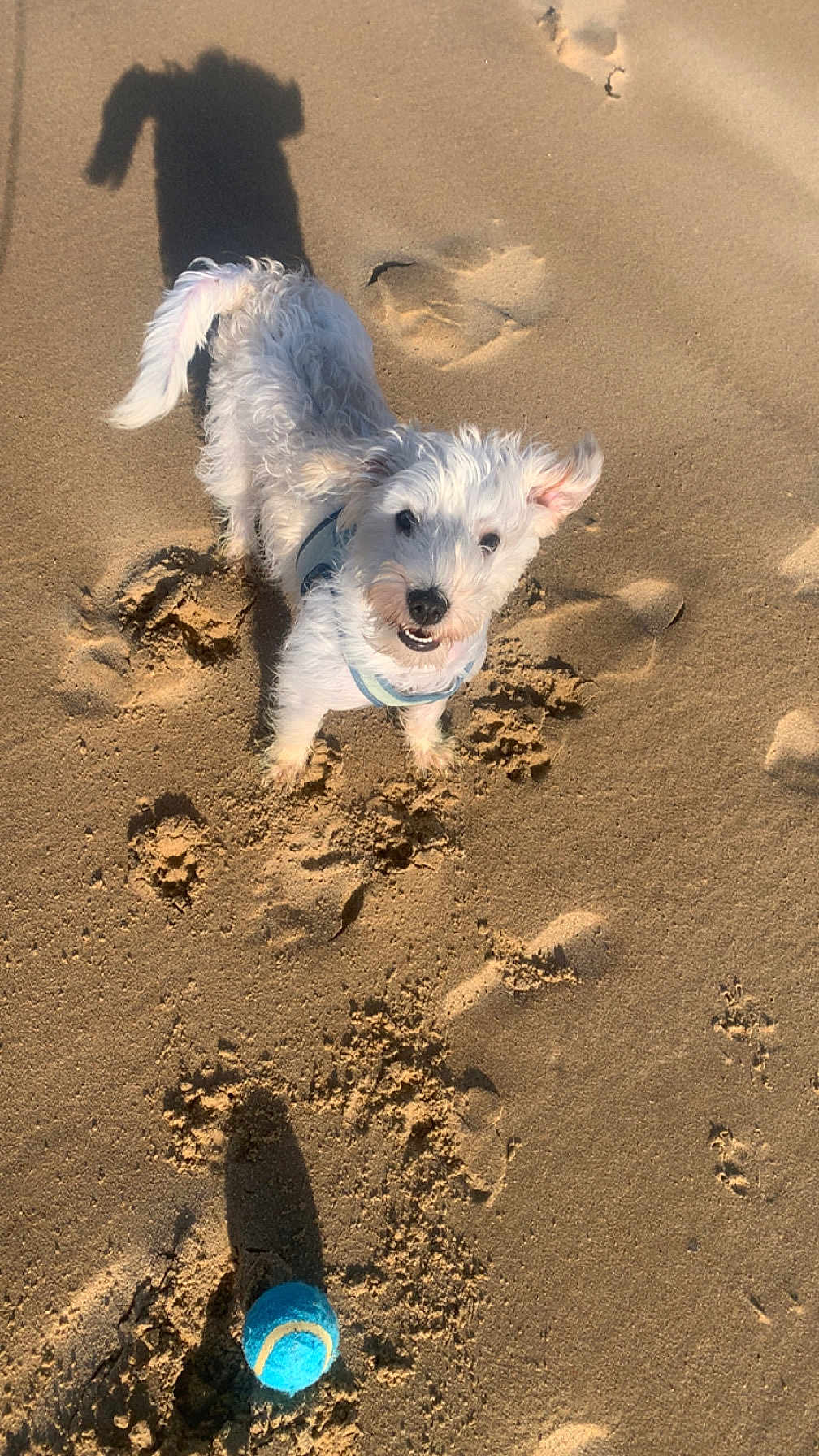 Billy