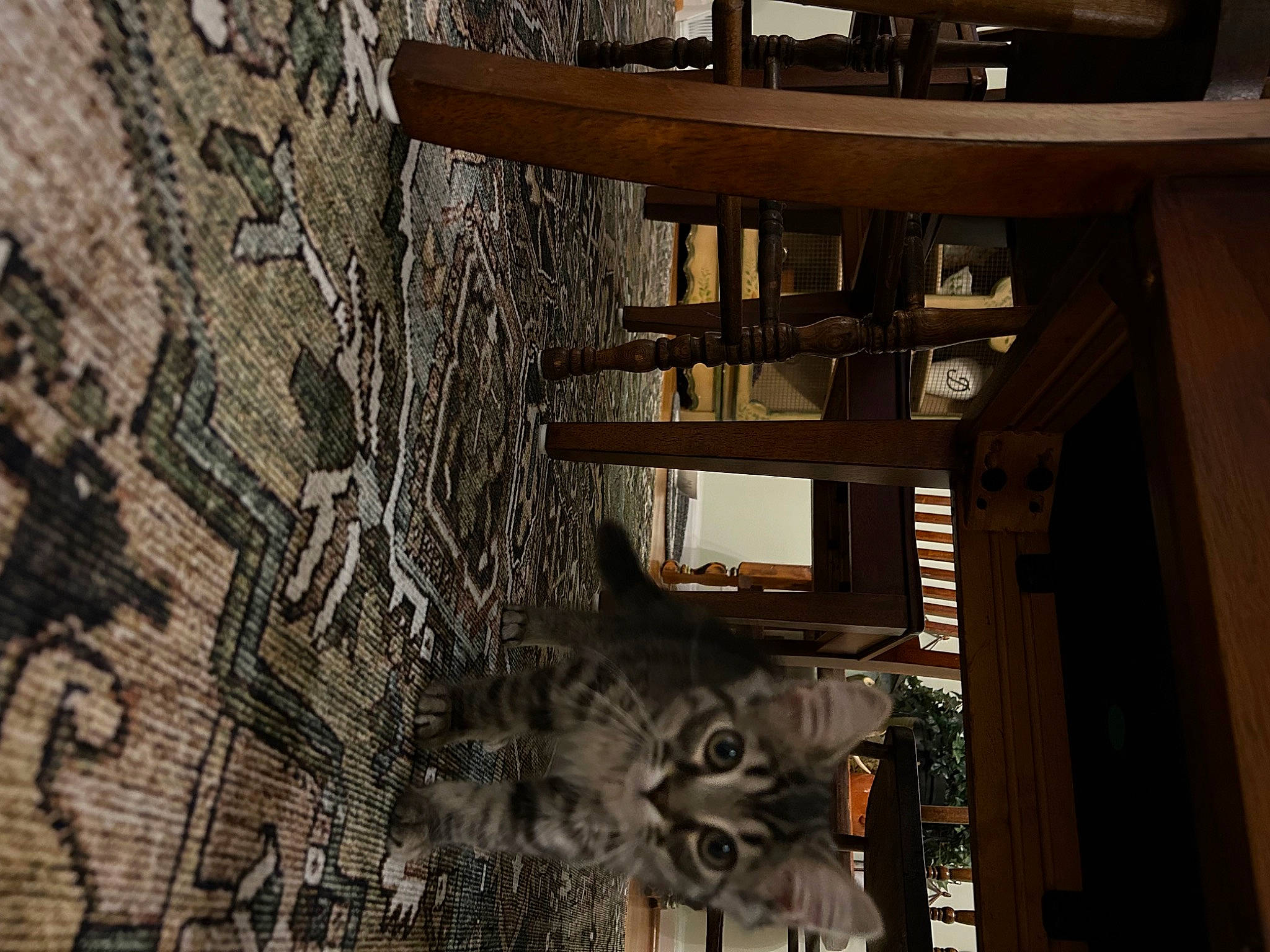 Harper is registered to the contest to win money with this photo: ancient_history, arch, art, building, carving, ceiling, city, column, facade, history, holy_places, house, metal, pattern, sculpture, trunk, urban_design, visual_arts, window, wood