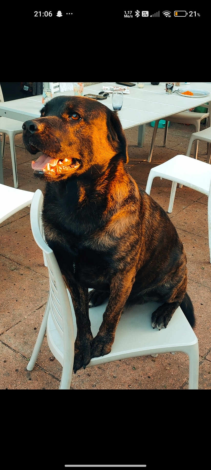 Saïko