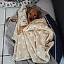 puppy, dog_bed, blanket, polka_dot, toy, floor_tile, cozy, brown_dog, pet, indoor, relaxed, snuggled, soft, cute, animal, pet_toy, resting, young_dog, fur, comfort