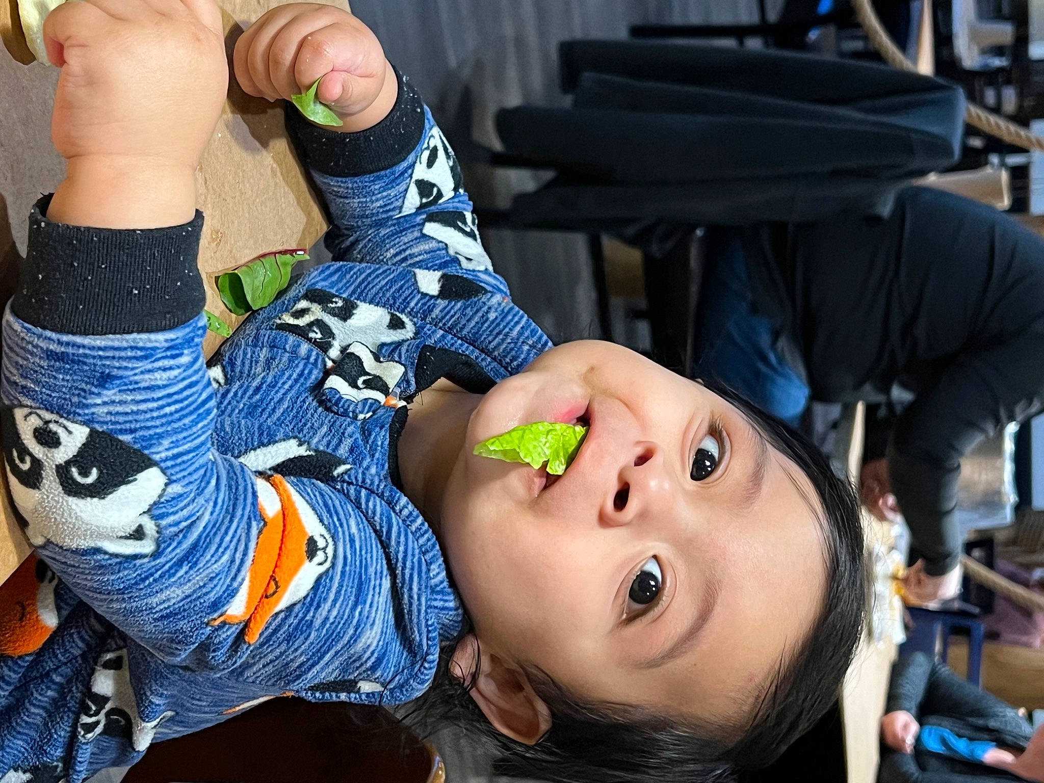 Christian is registered to the contest to win money with this photo: black_hair, chest, cool, elbow, eyelash, eyewear, finger, gesture, glasses, happy, human_leg, joint, leisure, person, plant, sunglasses, thigh, toddler, tree, trunk
