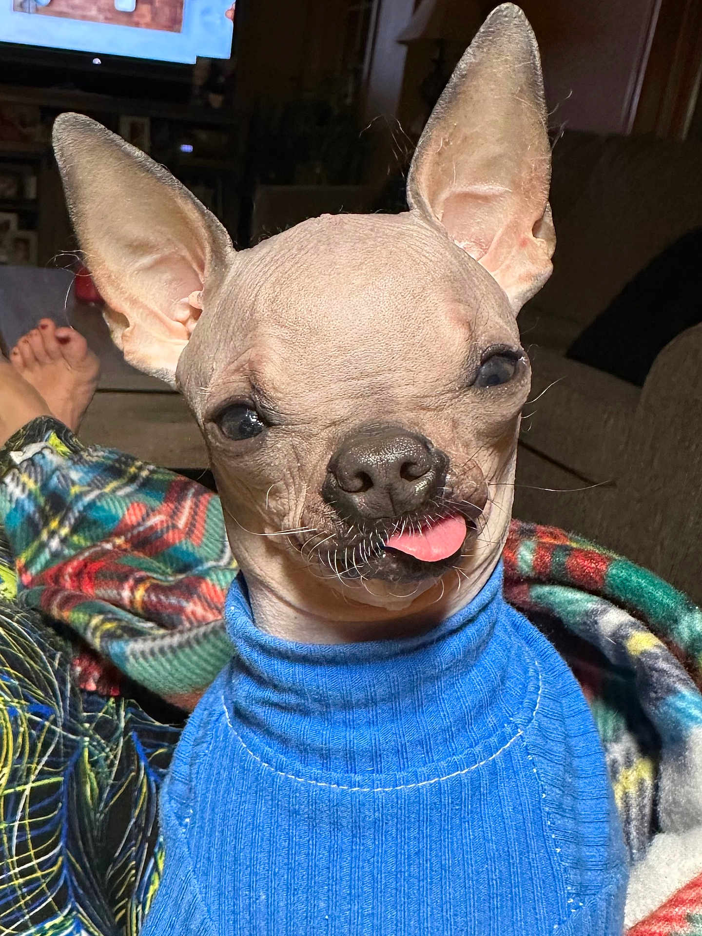 Eloise