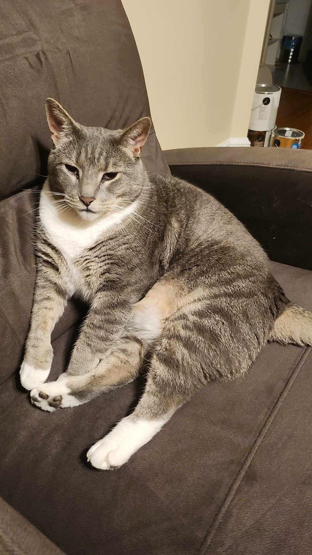 Tom