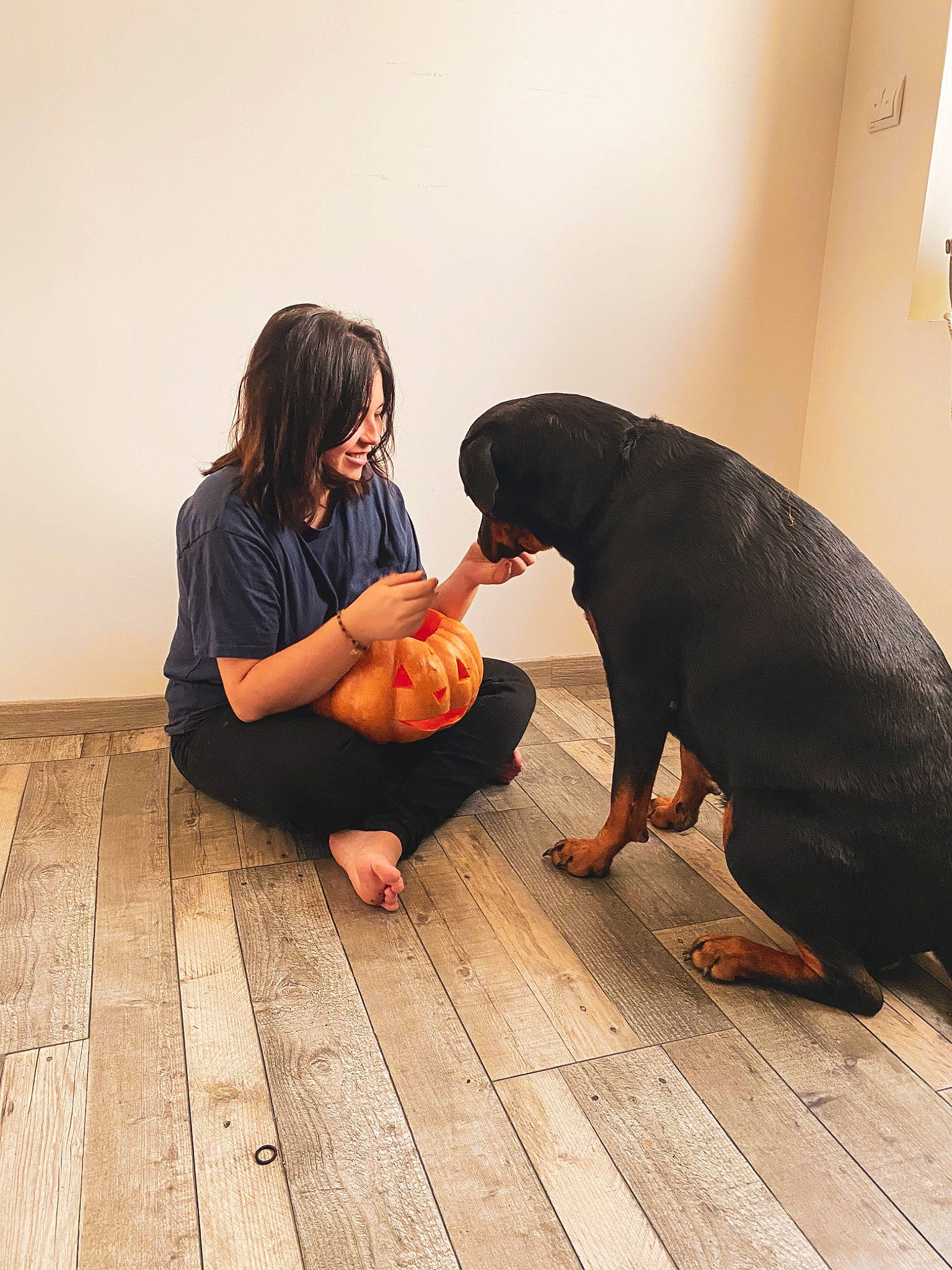 Gaïa participe au concours pour gagner de l'argent avec cette photo : canidae, carnivore, companion_dog, dog, dog_breed, floor, flooring, guard_dog, hand, photography, rottweiler
