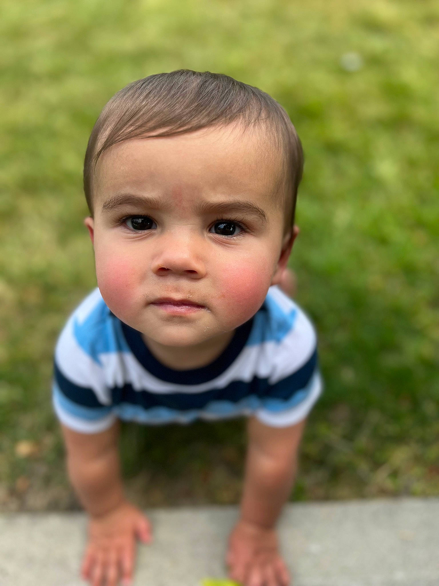 Greysen is registered to the contest to win money with this photo: baby, baby_toddler_clothing, chin, crawling, eye, face, flooring, grass, grass_family, happy, human_body, lawn, leisure, people_in_nature, person, plant, skin, t_shirt, toddler, tree