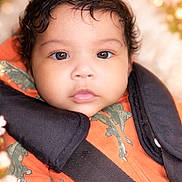 Karelia is registered to the contest to win money with this photo: baby, infant, child, car_seat, dinosaur_print, orange_clothing, curly_hair, face, portrait, close_up, cute, seatbelt, soft_lighting, bokeh, indoors, young_child, expressionless, person, baby_boy, warm_colors