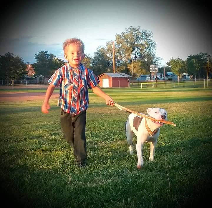 Miss Ranger is registered to the contest to win money with this photo: carnivore, cloud, companion_dog, dog, dog_breed, fawn, flash_photography, grass, grassland, happy, lawn, leash, leisure, people_in_nature, plant, recreation, sky, sunlight, tail, tree