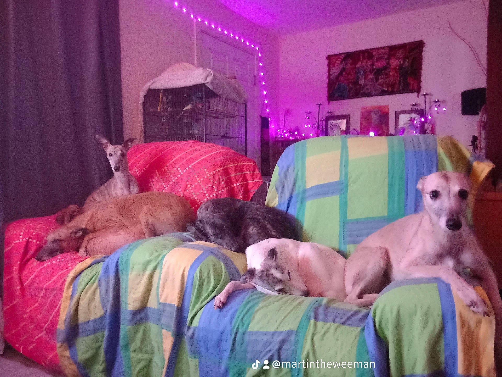 Princesskararosawonderwoodybea