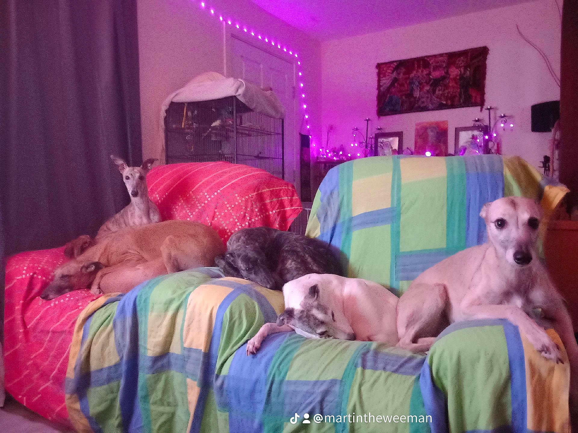 Princesskararosawonderwoodybea