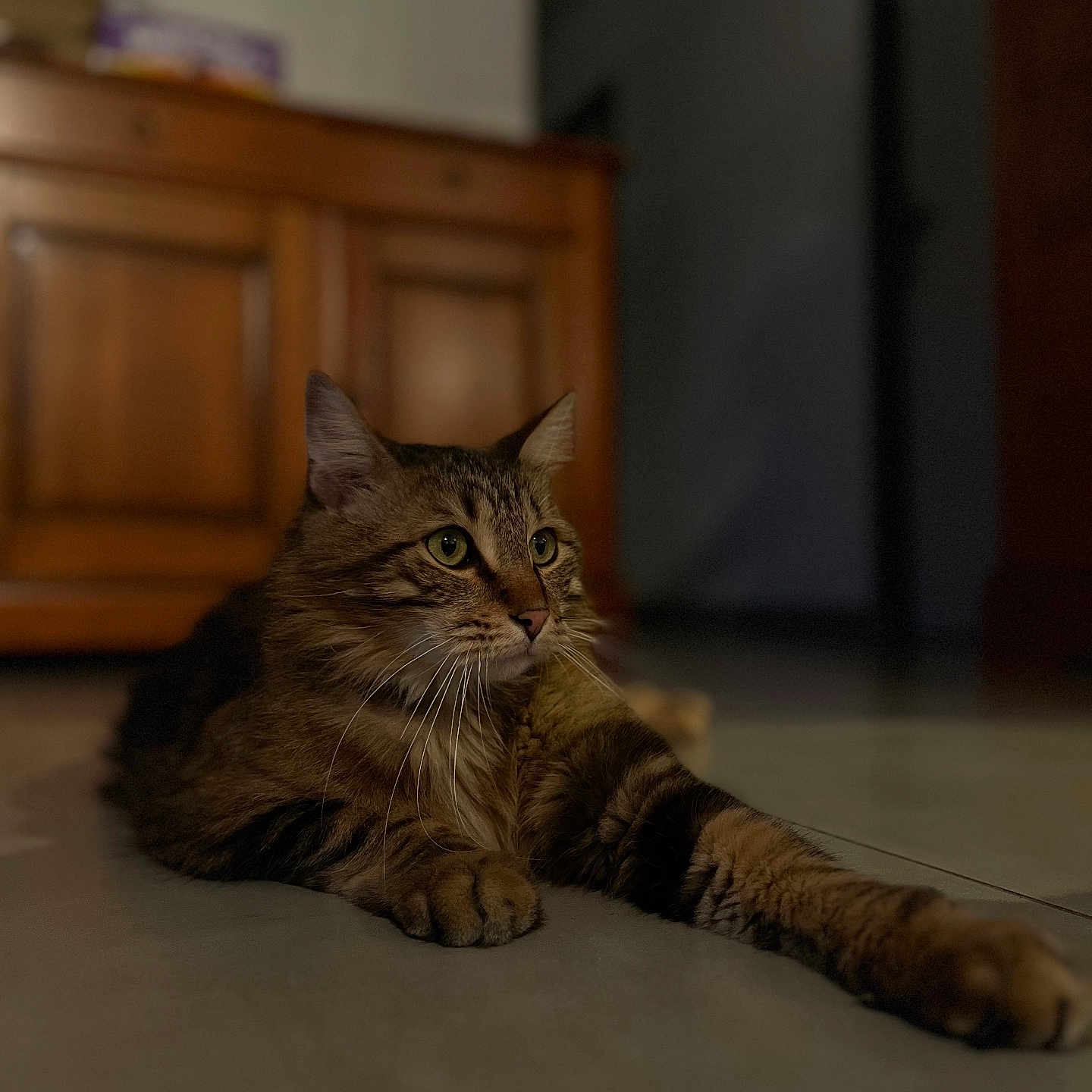 Garfield