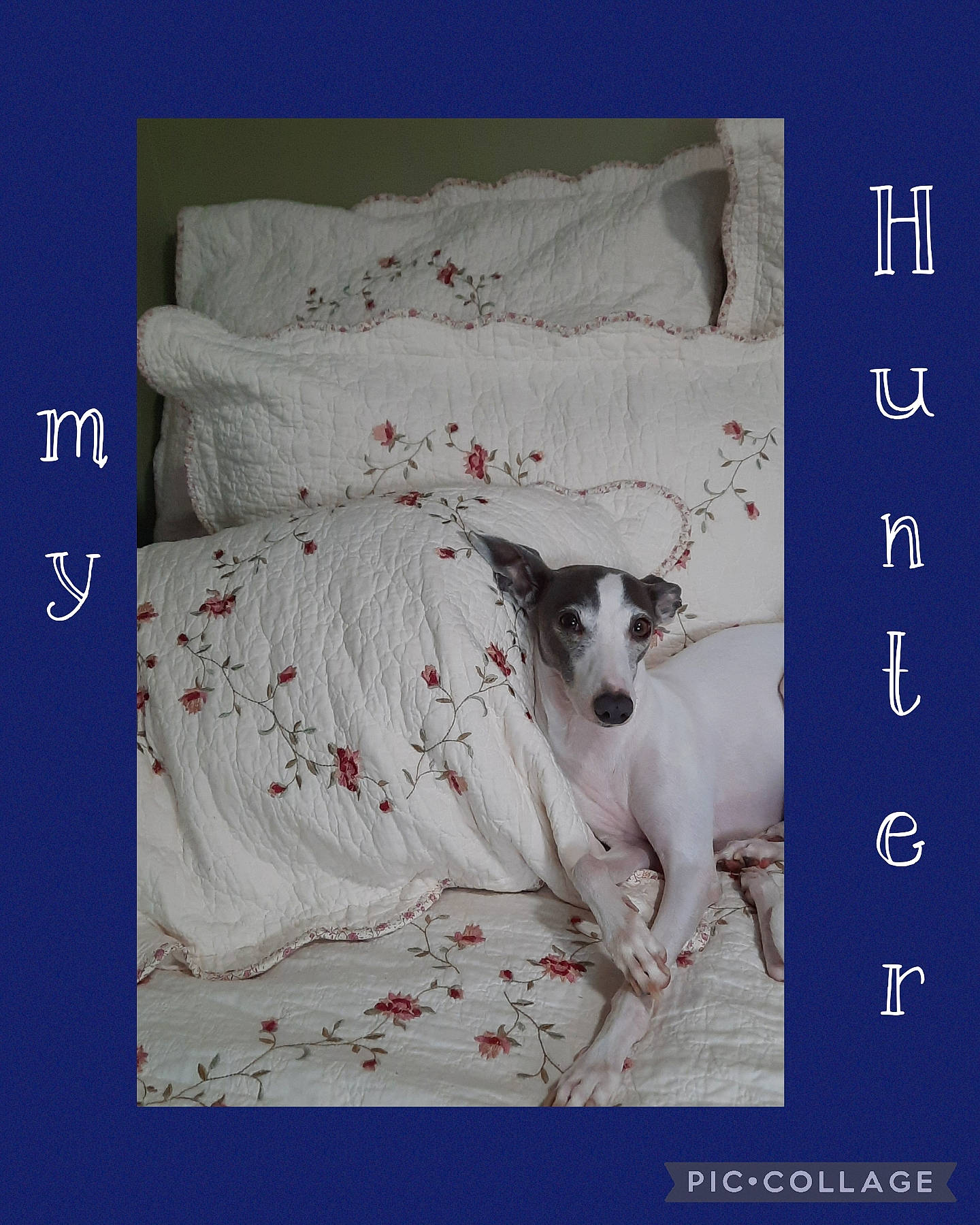 Hunter