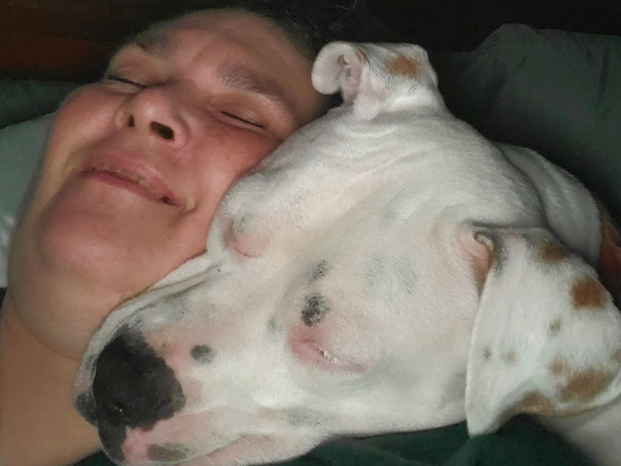 Maggie May joined the competition — help win amazing prizes! canidae, carnivore, comfort, companion_dog, dog, dog_breed, ear, fawn, fur, guard_dog, jaw, mammal, nose, smile, snout, sporting_group, terrestrial_animal, throat, whiskers, working_animal