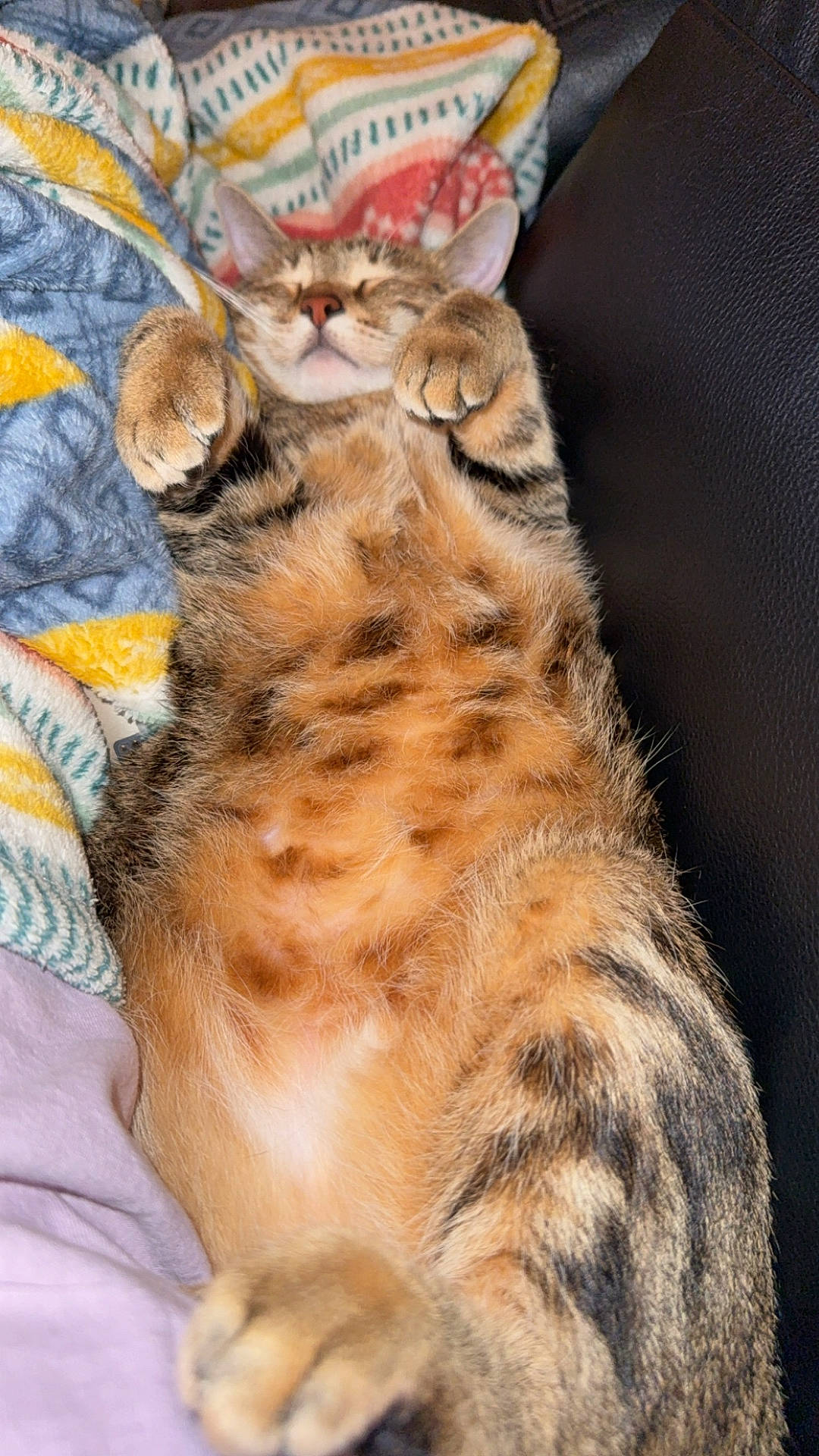 Suki