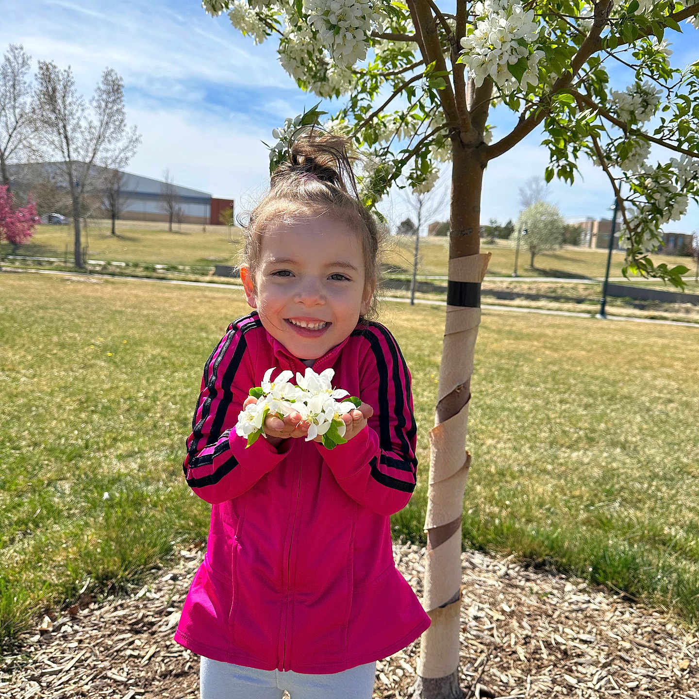 Emma is registered to the contest to win money with this photo: blossoms, casual_clothing, child, daytime, flowers, grass, happy, holding_flowers, jacket, nature, outdoor, park, person, pink_jacket, smiling, spring, sunlight, tree, white_pants, young_child