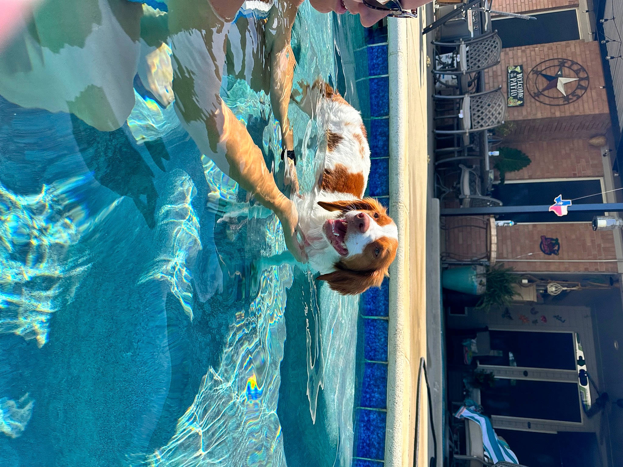 Scout joined the competition — help win amazing prizes! elbow, electric_blue, fun, glass, hat, leisure, machine, naval_architecture, recreation, ship, shorts, vehicle, water, world