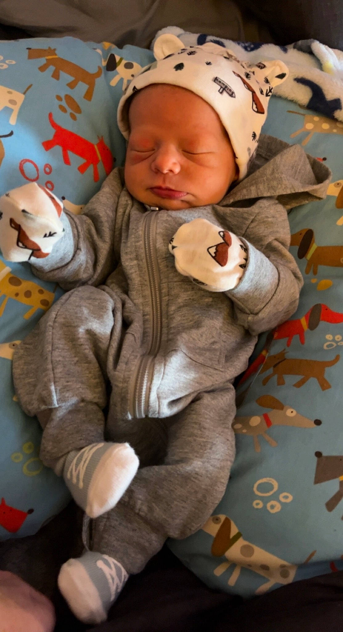 Forrest is registered to the contest to win money with this photo: baby, baby_toddler_clothing, beanie, cap, cheek, child, comfort, fur, fur_clothing, glove, happy, headgear, person, plush, sitting, skin, sleeve, stuffed_toy, toddler, toy