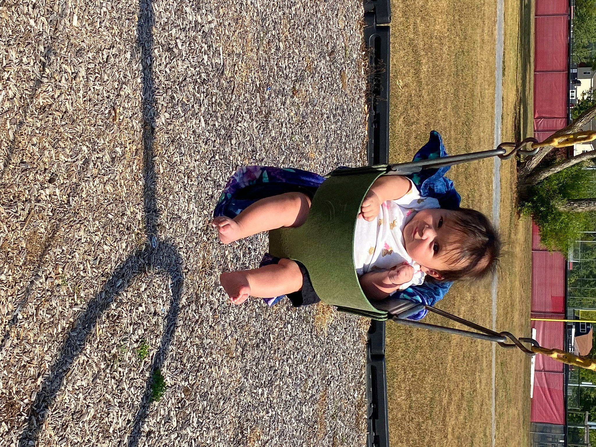 Mia is registered to the contest to win money with this photo: city, concrete, electric_blue, fun, human_leg, leisure, person, plant, recreation, road_surface, shadow, toddler, tree, wood