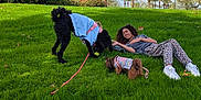 Sugar is registered to the contest to win money with this photo: woman, dog, grass, outdoor, sky, cloud, tree, palm_tree, pet, leash, casual_clothing, playful, smiling, nature, park, greenery, sunlight, relaxation, animal, daytime
