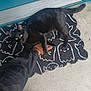 black_cat, cat, doormat, ghost_pattern, footwear, sandals, blue_nail_polish, teal_door, concrete_floor, outdoor, pet, animal, paw, person, relaxing, casual, shadow, sidewalk, playful, resting
