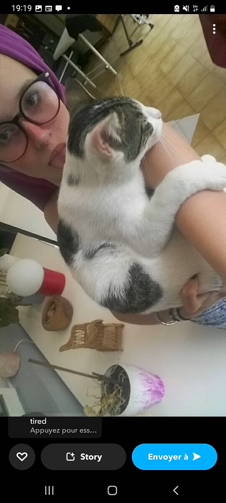 Olivia a rejoint le concours — aidez-le/la à gagner de superbes lots ! beard, carnivore, cat, comfort, companion_dog, domestic_short_haired_cat, eyewear, felidae, foot, fur, lap, moustache, nail, paw, person, selfie, small_to_medium_sized_cats, tail, whiskers