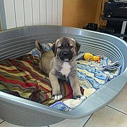 Luidgi participe au concours pour gagner de l'argent avec cette photo :