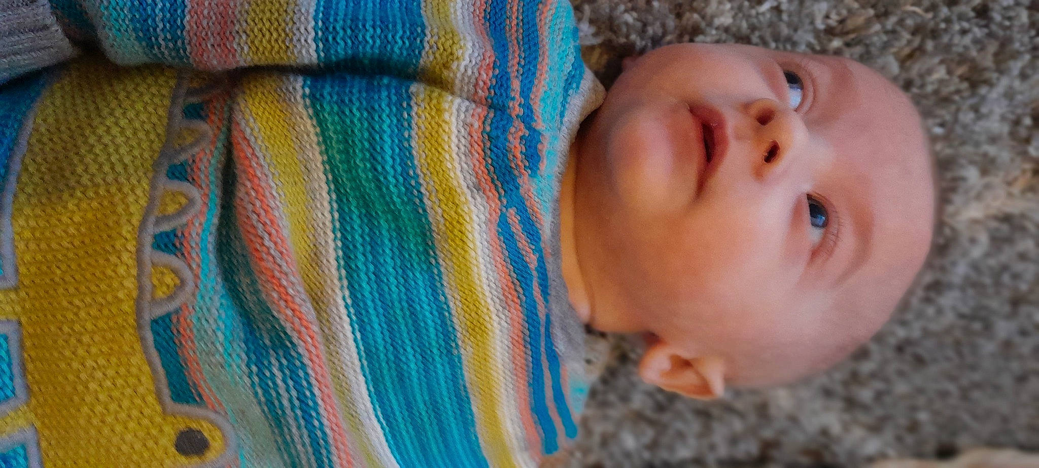 Frankie joined the competition — help win amazing prizes! azure, baby, baby_toddler_clothing, cheek, electric_blue, eye, eyebrow, grass, head, headgear, headwear, iris, linens, lip, nose, pattern, person, skin, smile, textile