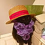 cat, black_cat, hat, straw_hat, purple_scarf, indoor, feline, pet, cute, curious, costume, accessory, wooden_surface, table, decor, animal, sitting, portrait, domestic_animal, cozy