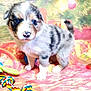 animal, ball, canine, cat, cockerspaniel, collie, dog, eskimodog, football, goldenretriever, husky, kitten, pet, puppy, soccer, soccerball, sport, tennis, tennisball, whitedog