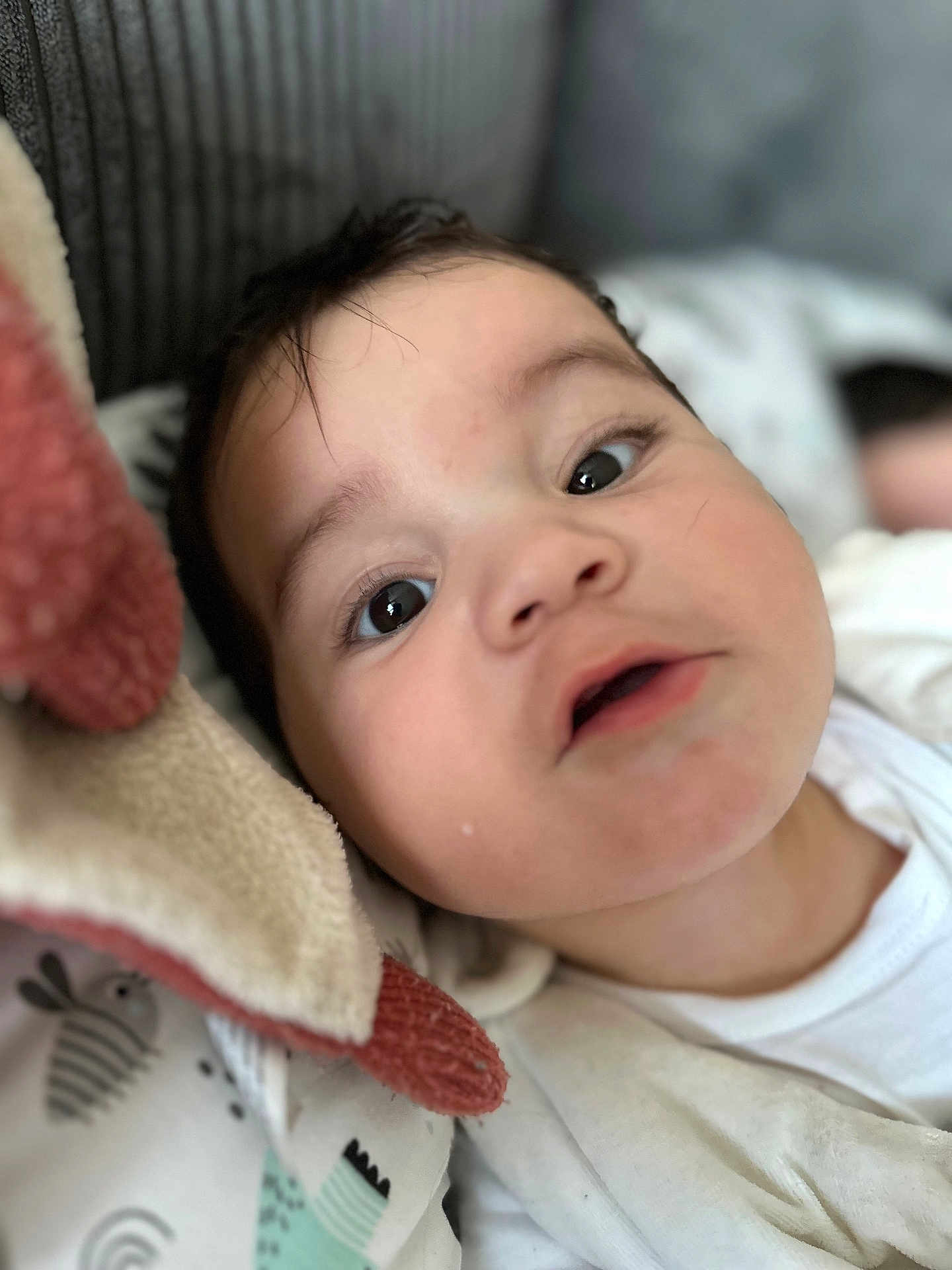 Hélio a rejoint le concours — aidez-le/la à gagner de superbes lots ! baby, child, closeup, face, eyes, expression, blanket, soft, cozy, indoors, infant, cute, portrait, clothing, resting, toddler, skin, sleepy, young, person