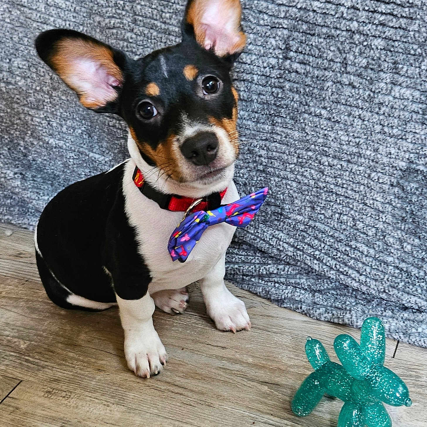 Watson