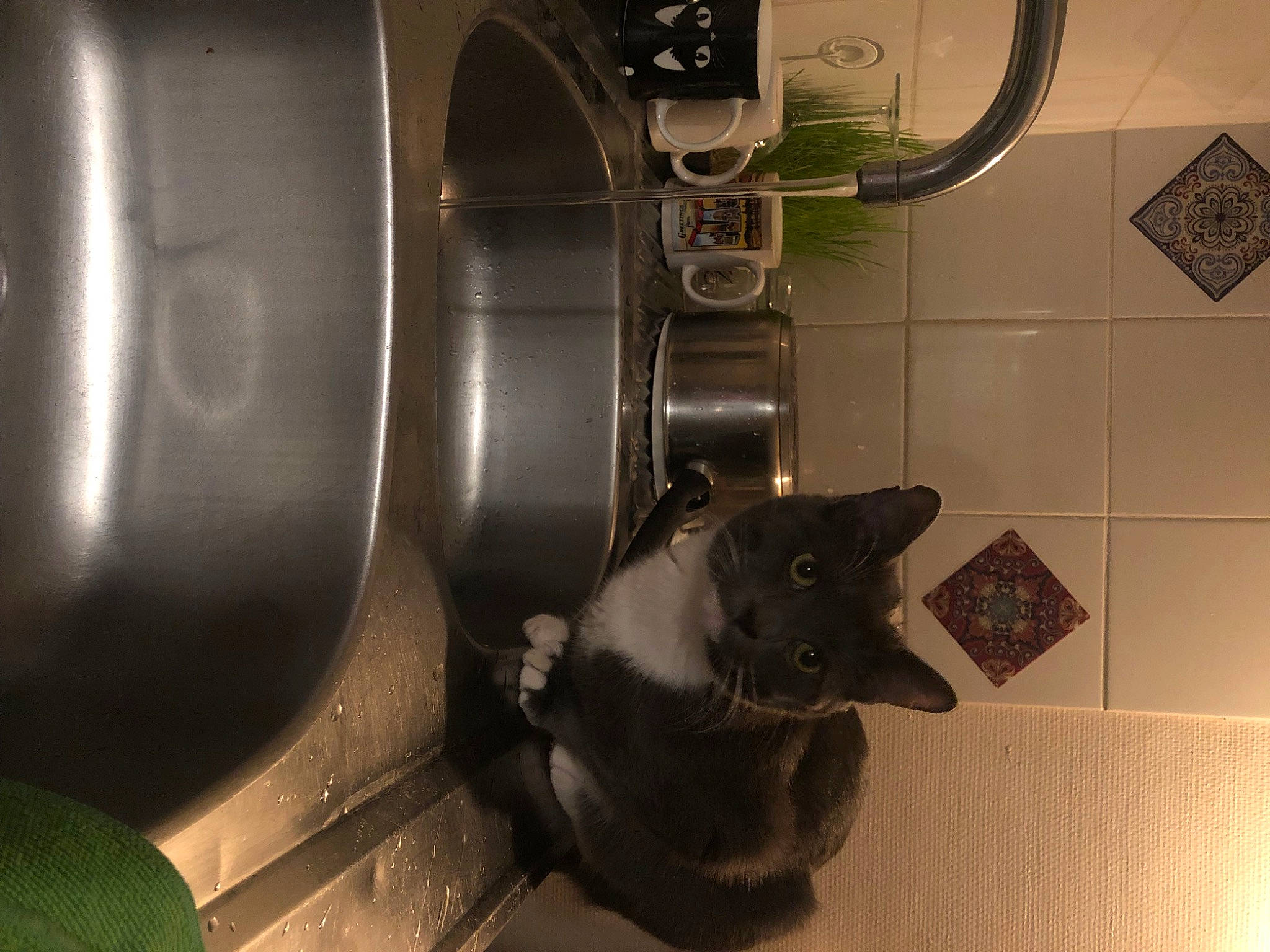 Shaiko participe au concours pour gagner de l'argent avec cette photo : aircraft_engine, audio_equipment, auto_part, automotive_lighting, automotive_tire, automotive_wheel_system, carnivore, circle, flooring, gas, kitchen_appliance, machine, metal, pipe, plumbing, rim, room, small_appliance, steel, titanium