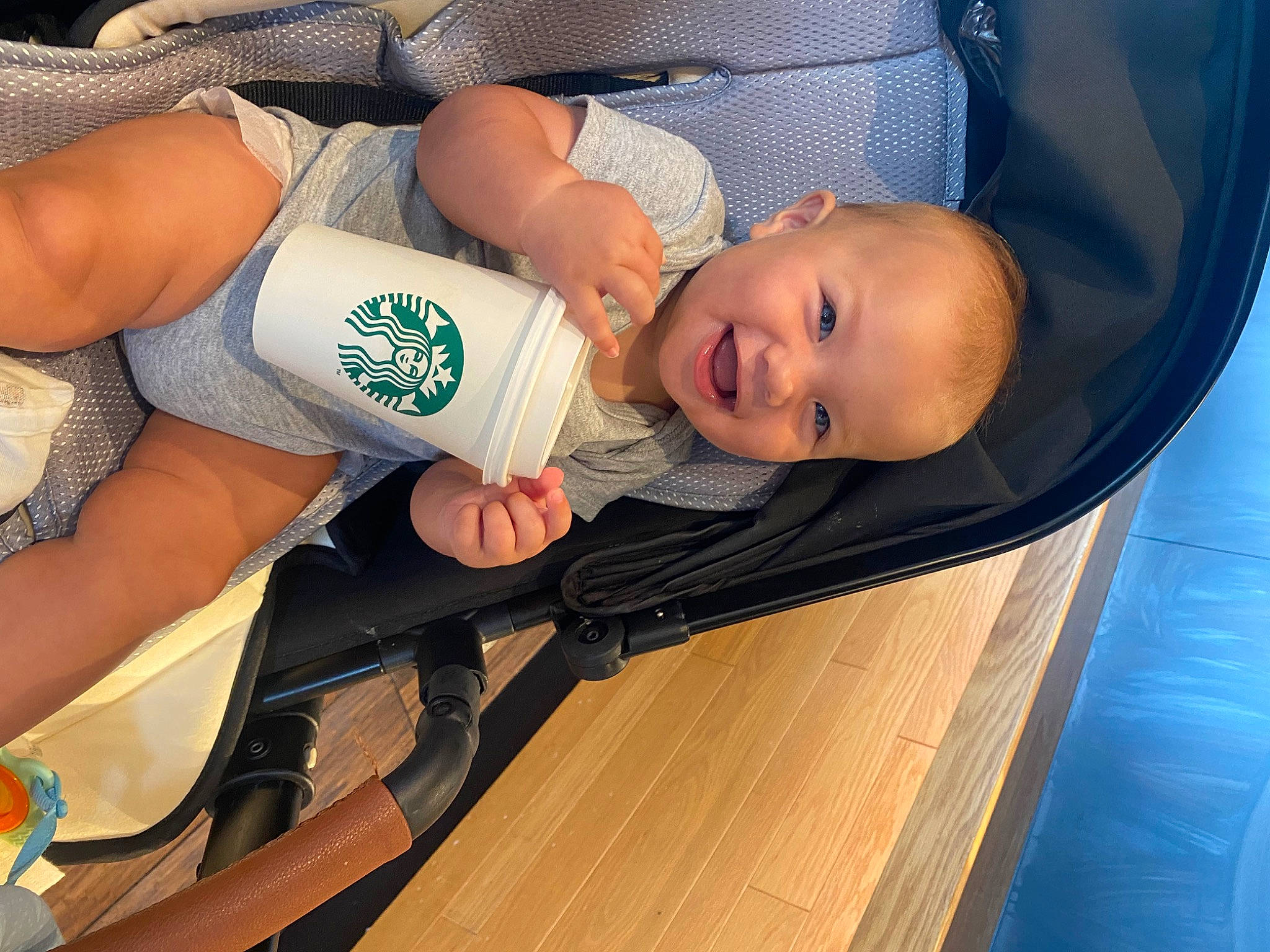 Koa joined the competition — help win amazing prizes! abdomen, baby, baby_products, baby_toddler_clothing, chest, child, comfort, elbow, finger, fun, hardwood, human_leg, joy, knee, leisure, person, smile, thigh, thumb, toddler