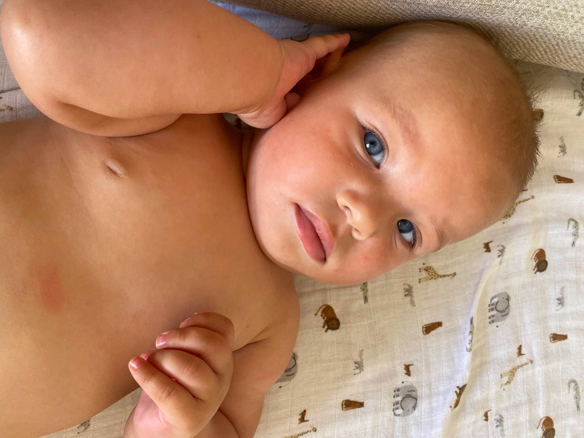 Koa joined the competition — help win amazing prizes! baby, cheek, chest, chin, comfort, eyebrow, eyelash, facial_expression, finger, gesture, hand, happy, iris, lip, mouth, nose, person, skin, stomach, thumb