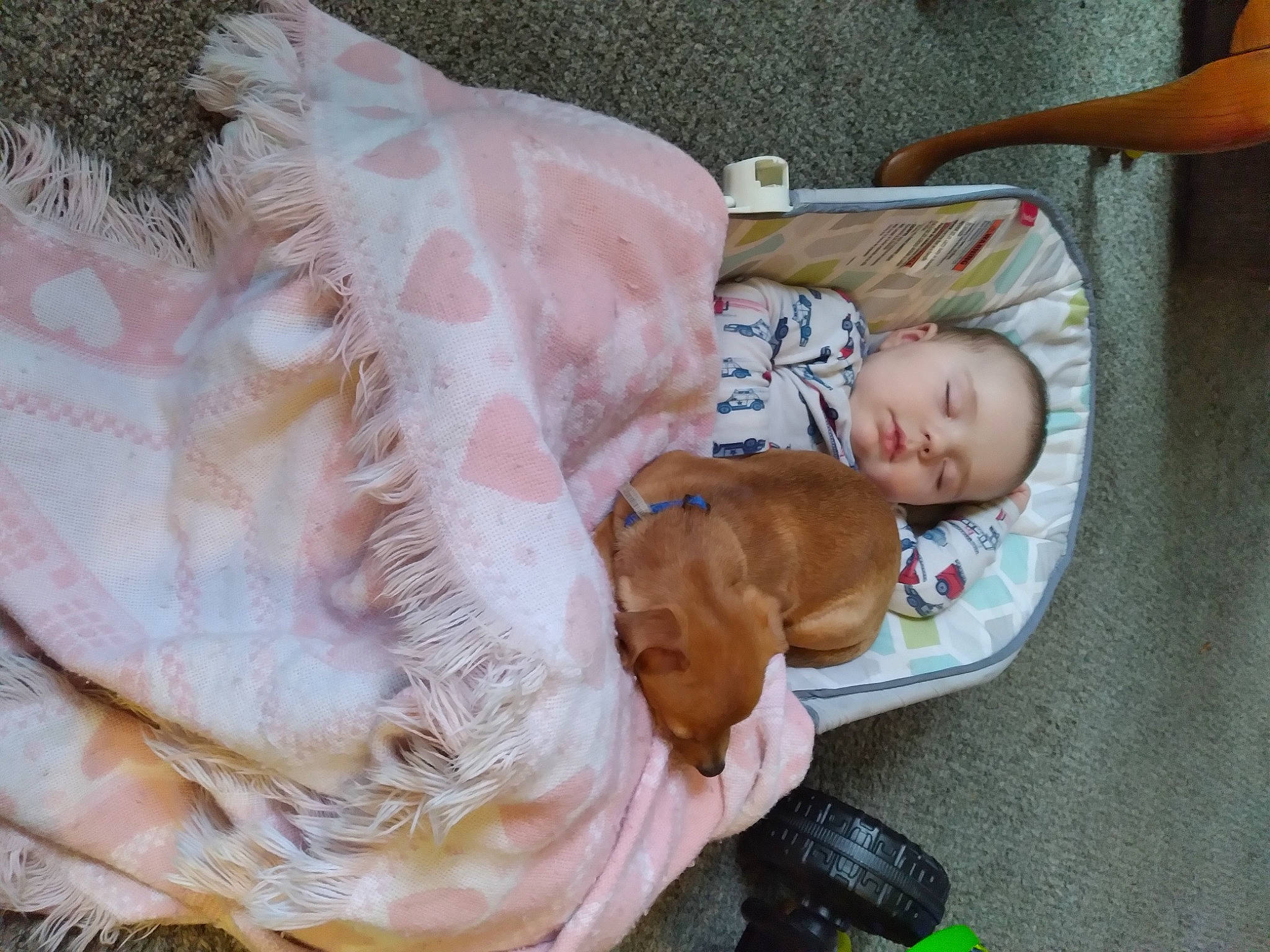 Kyle joined the competition — help win amazing prizes! baby, baby_products, baby_toddler_clothing, camera, cheek, child, comfort, dress, embellishment, eye, fawn, fun, fur, linens, person, room, single_lens_reflex_camera, sitting, skin, toddler