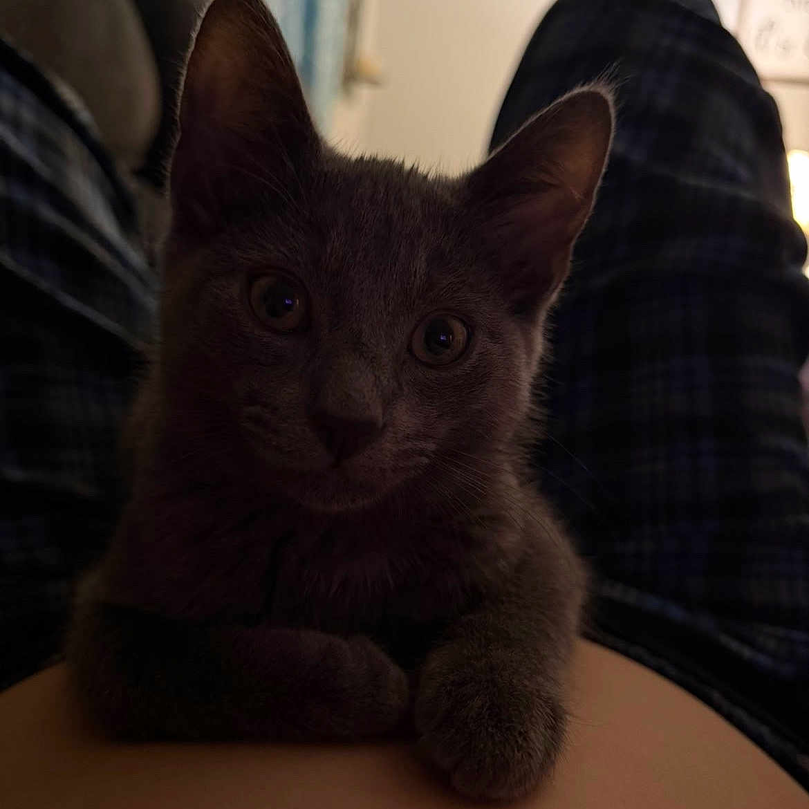 Onyx