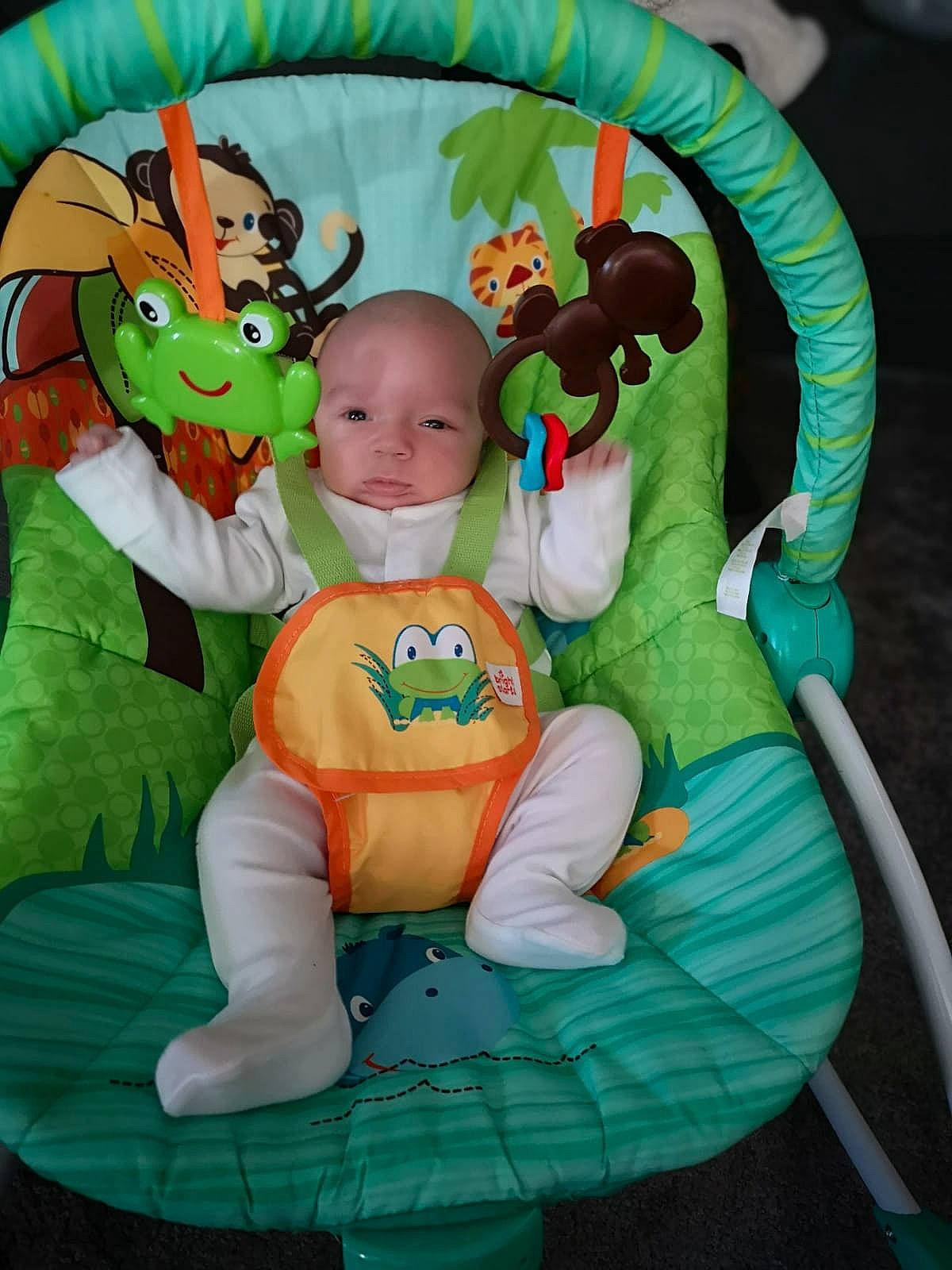 Lenny joined the competition — help win amazing prizes! baby, baby_products, baby_toys, child, fictional_character, fun, green, person, play, product, toddler