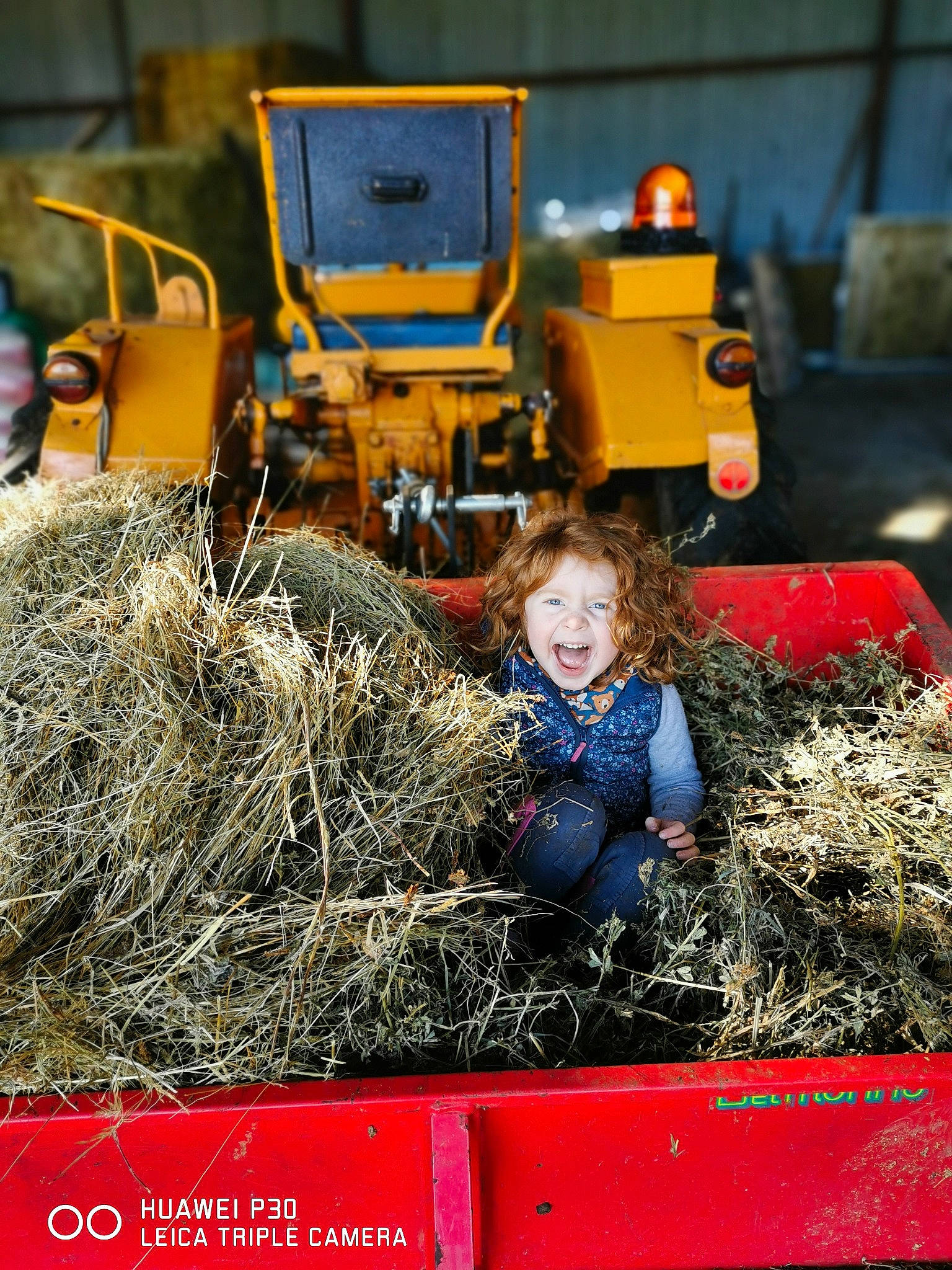 Amalia a rejoint le concours — aidez-le/la à gagner de superbes lots ! agricultural_machinery, agriculture, asphalt, automotive_exterior, automotive_tire, automotive_wheel_system, construction_equipment, grass, hay, machine, motor_vehicle, people_in_nature, person, plant, road_surface, soil, tire, vehicle, wheel, wood