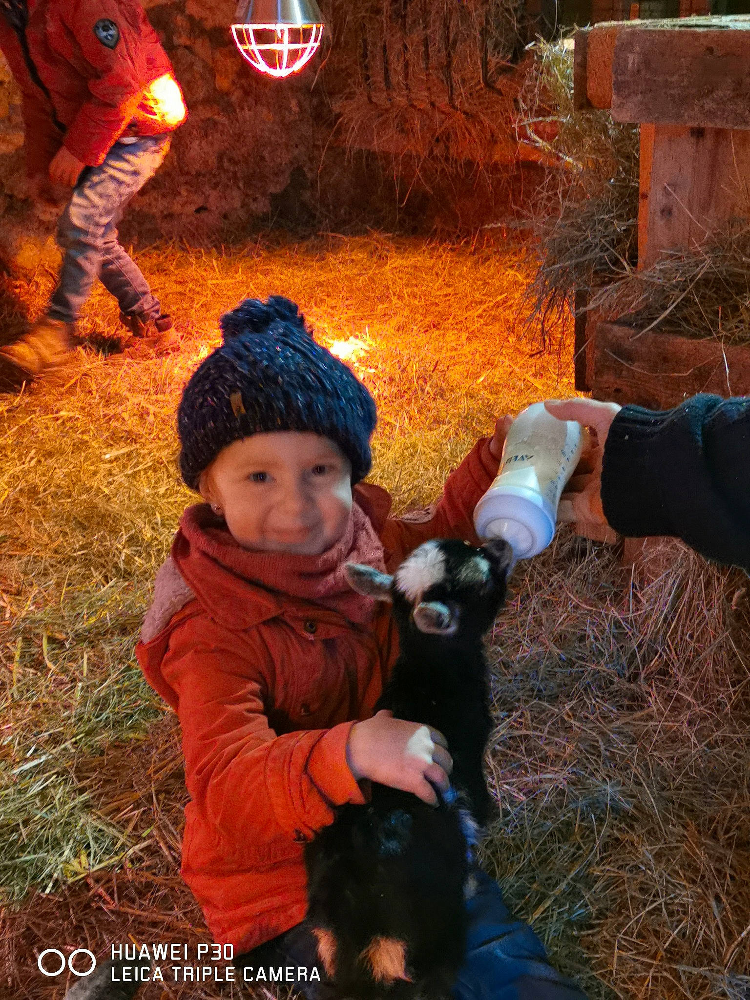 Amalia participe au concours pour gagner de l'argent avec cette photo : autumn, child, fun, fur, grass, headwear, human, landscape, light, outerwear, people, people_in_nature, person, plant, red, soil, toddler, toy, tree, wilderness