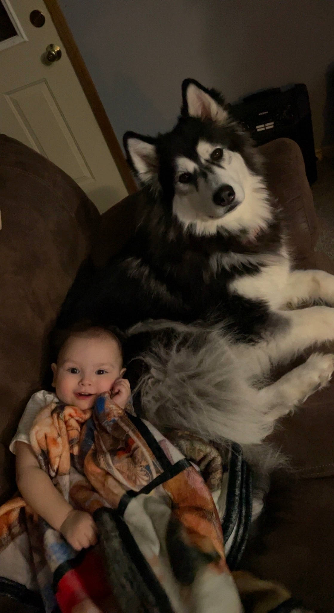 Zyra is registered to the contest to win money with this photo: baby, canidae, canis, carnivore, companion_dog, dog, dog_breed, flash_photography, fun, fur, person, sitting, sled_dog, smile, toddler, working_dog