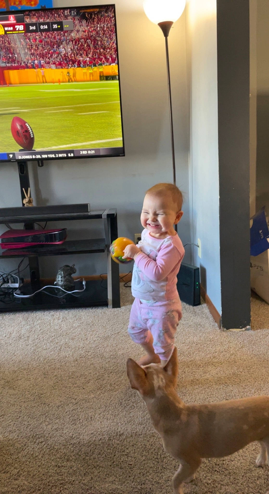 Zyra joined the competition — help win amazing prizes! baby, companion_dog, display_device, floor, flooring, fun, hardwood, home_appliance, human_leg, joy, led_backlit_lcd_display, leg, orange, person, room, shoe, smile, standing, television, television_set