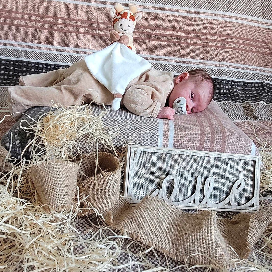 Tiago participe au concours pour gagner de l'argent avec cette photo : animal, baby, bed, blanket, canine, couch, countryside, dog, face, furniture, head, homedecor, nature, newborn, outdoors, person, pet, photography, straw, toy