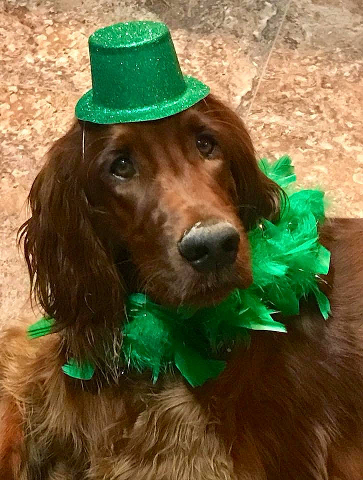 Double Shot Of Jameson