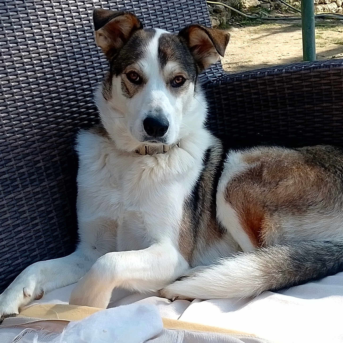 Ushka