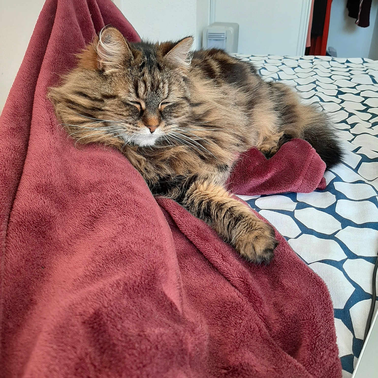 Sophie