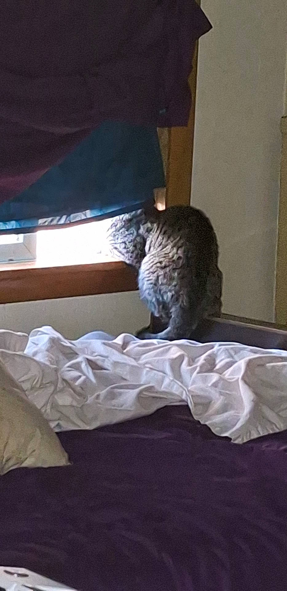 Jay is registered to the contest to win money with this photo: art, bed, bed_frame, bed_sheet, bedding, bedroom, comfort, curtain, duvet, flooring, furniture, hardwood, linens, mattress, pillow, room, shade, tail, tints_and_shades, wood