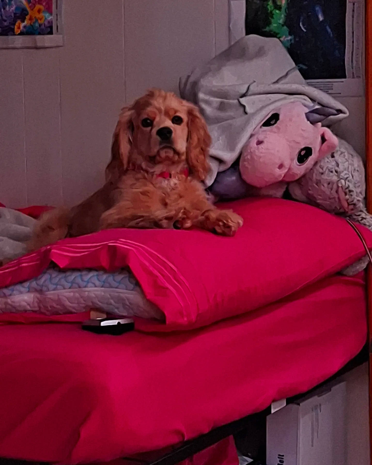 Trixie joined the competition — help win amazing prizes! bed, carnivore, comfort, companion_dog, couch, dog, dog_breed, dog_supply, fawn, furniture, hardwood, interior_design, linens, liver, picture_frame, pillow, pink, toy, wood, working_animal