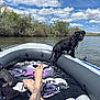 Nuggie Bear is registered to the contest to win money with this photo: dog, boat, river, water, trees, sky, clouds, person, feet, tattoo, towel, outdoor, nature, inflatable_boat, relaxation, summer, daytime, black_dog, landscape, scenic